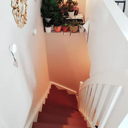 Stayplus Four-bedroom * Lund (Hojslev)